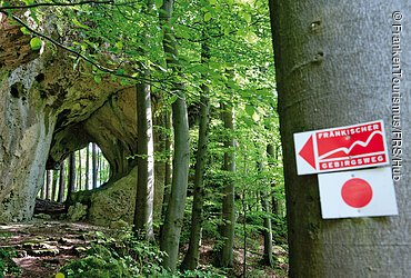 Die Markierung des "Fränkischen Gebirgsweges" an einem Baum, im Hintergrund der Betzenstein, ein ausgehöhlter Fels